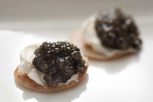 Osciestra Royal Caviar